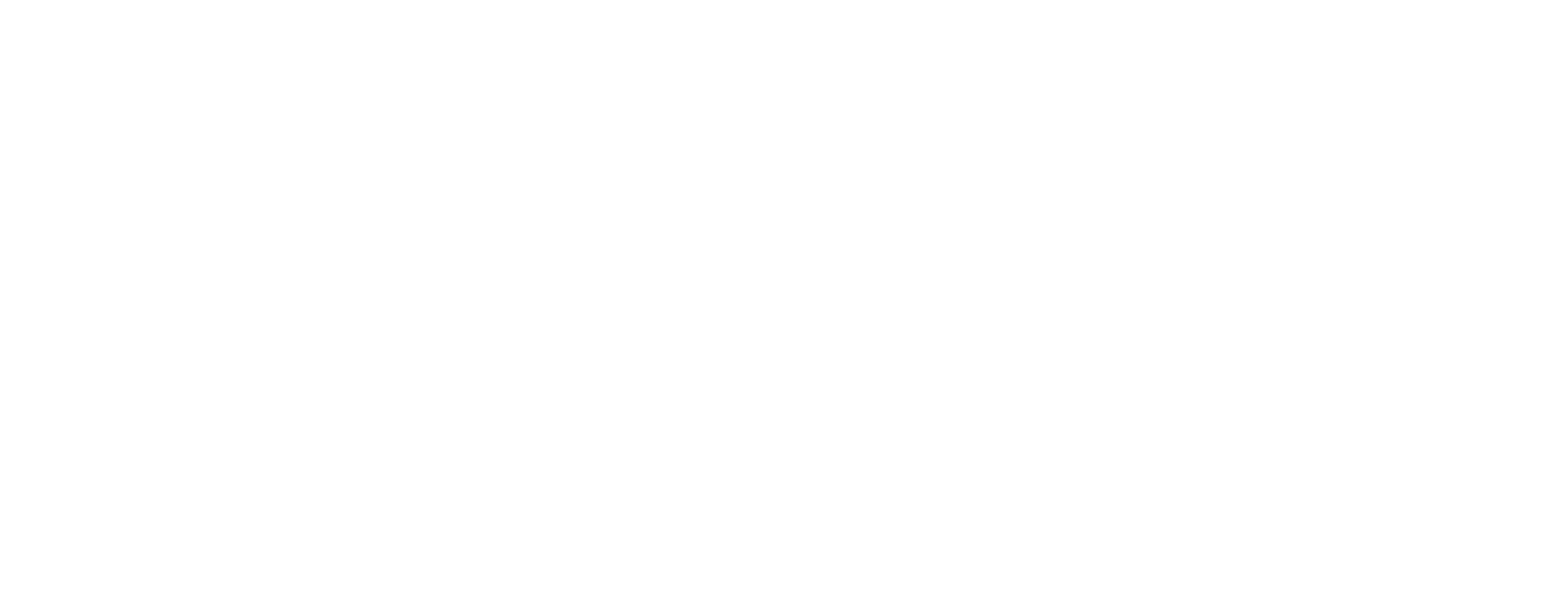 Bluechip White Landscape Logo